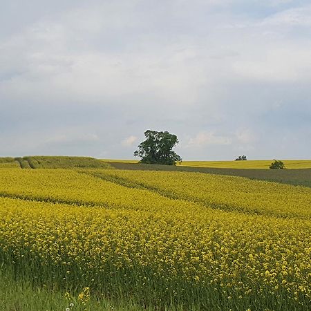 Auszeit Am Rosengarten, Zentrumsnah Güstrow المظهر الخارجي الصورة